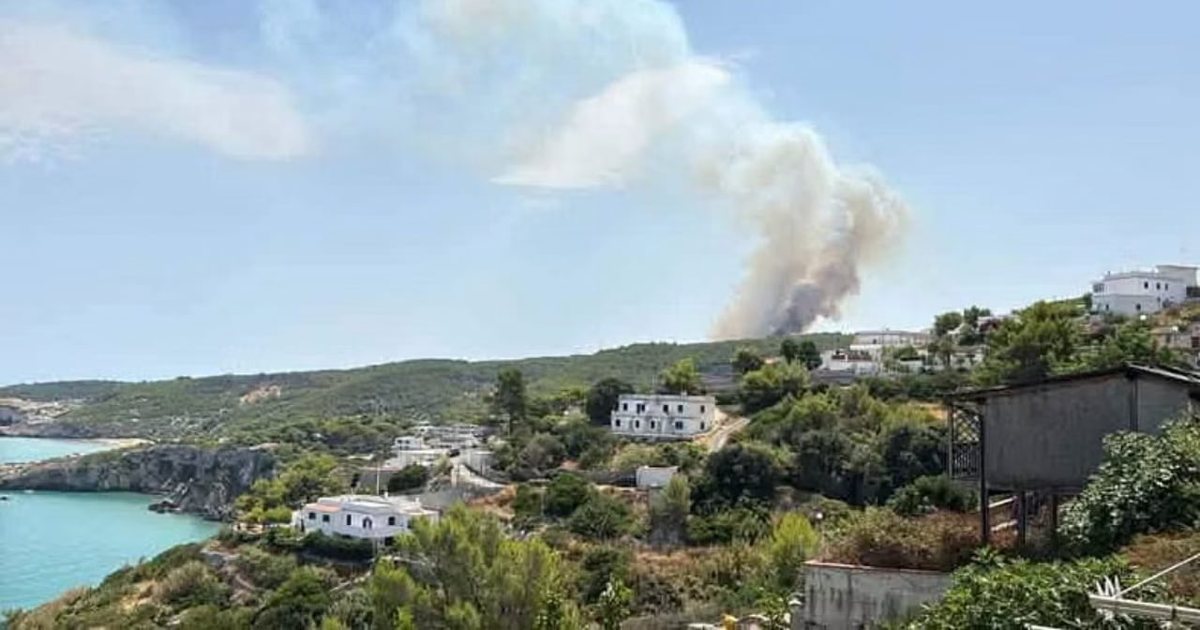 Zjarr masiv në Gadishullin Gargano  evakuohen turistët nga plazhet e njohura italiane