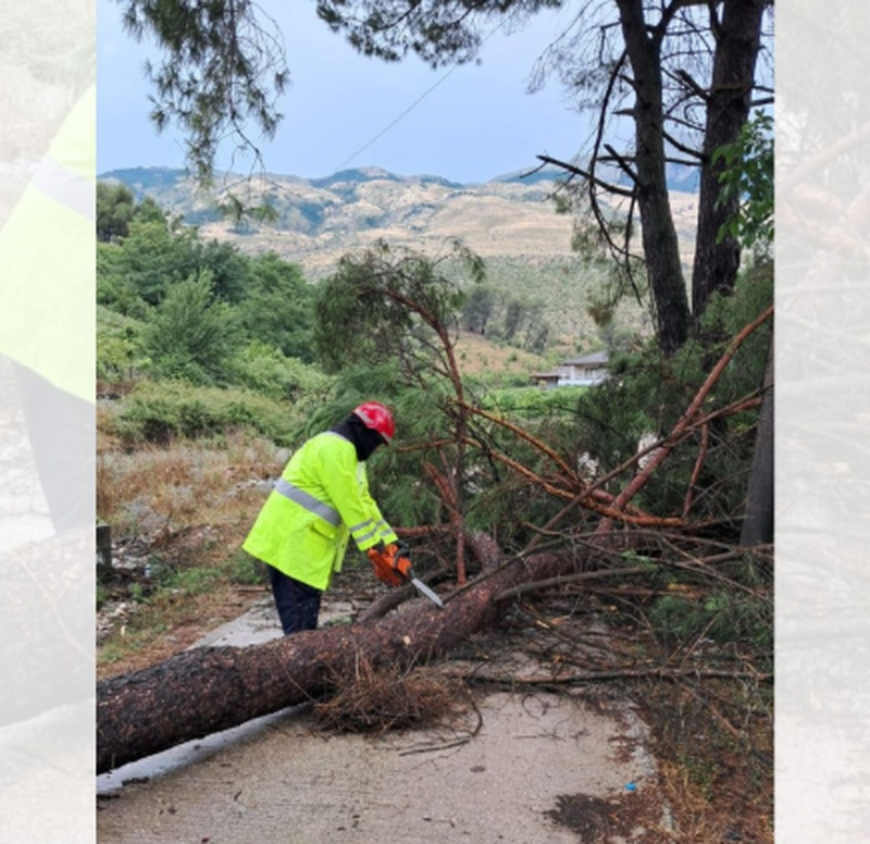 Er&euml;rat e forta rr&euml;zojn&euml; disa pem&euml; n&euml; Gjirokast&euml;r,