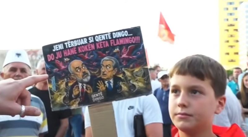 &ldquo;Jeni t&euml;rbuar si qent&euml; Dingo, do t&rsquo;ju han&euml; kok&euml;n
