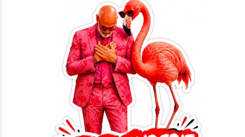 Rama feston 62-vjetorin me kostum roz&euml; dhe me Flamingo me syze: