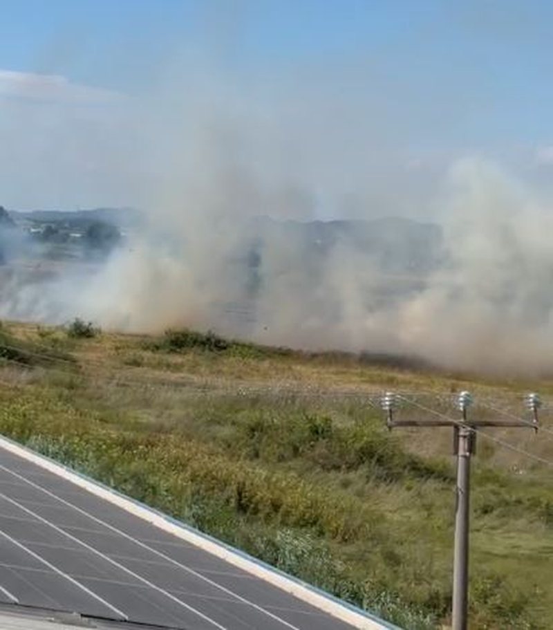 Zjarr n&euml; Shijak, digjet nj&euml; sip&euml;rfaqe e konsiderueshme me