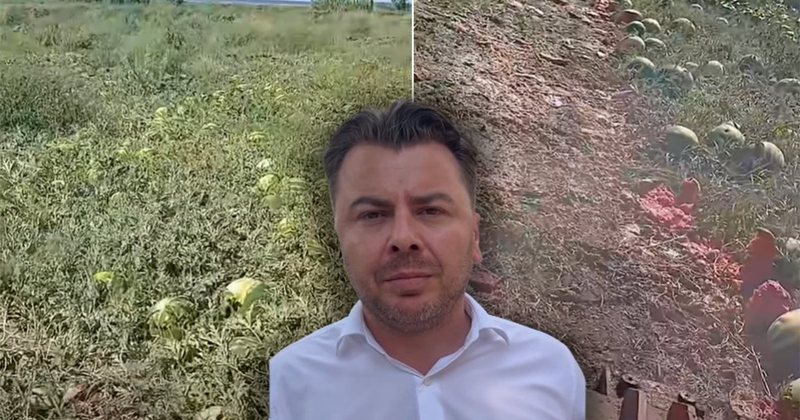 Fermeri i Divjak&euml;s fut zetorin mes p&euml;r mes ar&euml;s 1.5 hektar&euml;