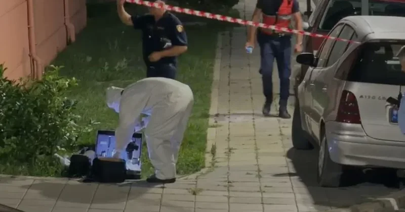 Vrasje me arm&euml; zjarri n&euml; Dukagjin