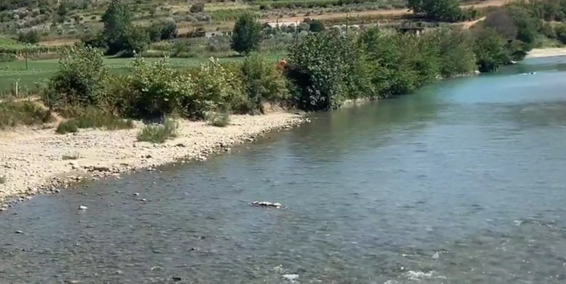 Tragjedi n&euml; Berat/ Hyri n&euml; lum&euml; p&euml;r t&rsquo;u lar&euml;,