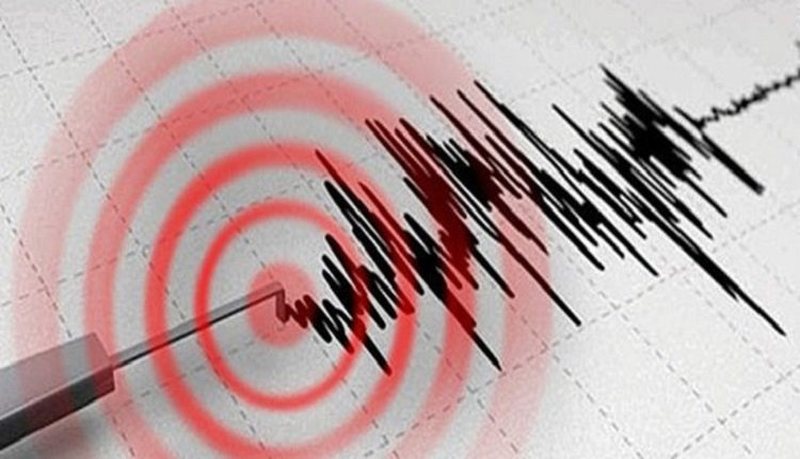 Japonia goditet nga nj&euml; t&euml;rmet i fort&euml;, ja sa ishte magnituda