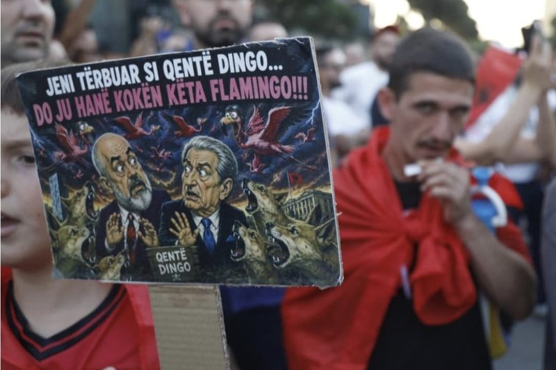Politikani republikan: Protestat nuk jan&euml; kund&euml;r Trump dhe SHBA, por