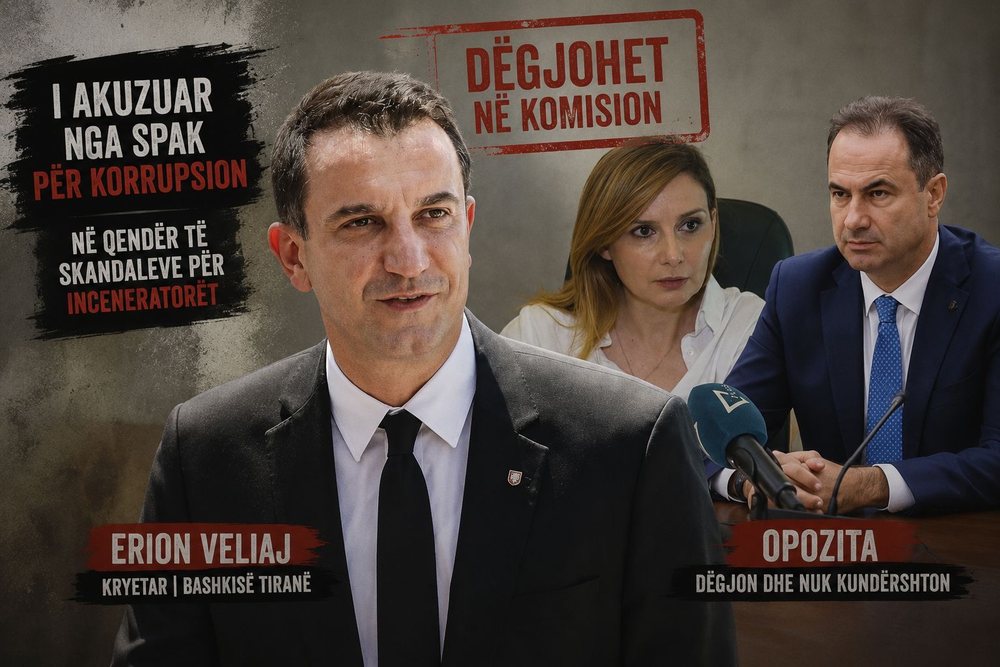 Nga &ldquo;simboli i korrupsionit&rdquo; te eksperti i reform&euml;s? Pse PD