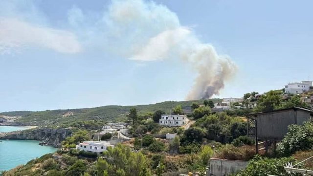 Zjarr masiv n&euml; Gadishullin Gargano, evakuohen turist&euml;t nga plazhet e