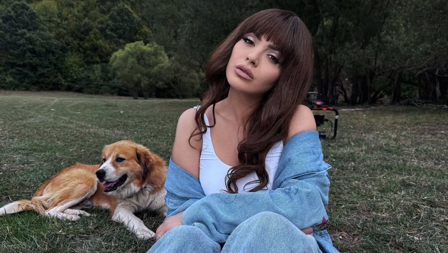 Fifi pranon se ka rënë dhe ajo pre e kësaj gjëje në