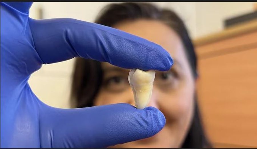 “Jo më ura dentare”, në të ardhmen dhëmbë