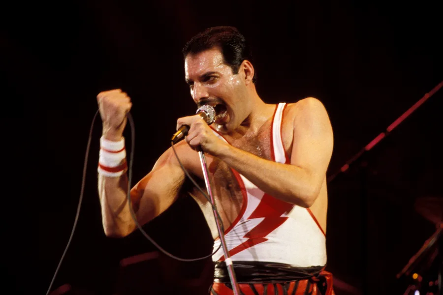 Zbulohet pas 48 vitesh fëmija ilegal i Freddie Mercury me gruan e shokut
