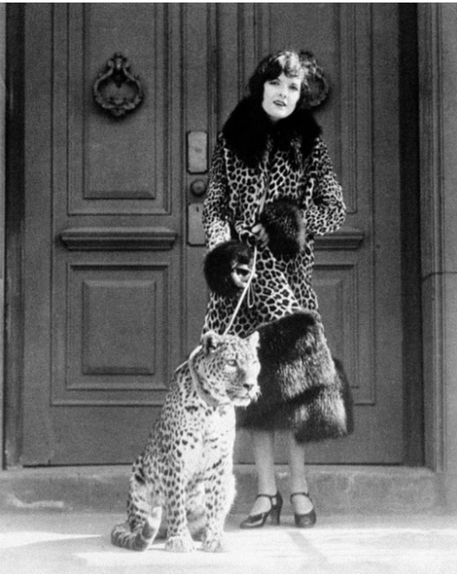 Leopard, tigër apo gepard? Palltot që do të zbukurojnë