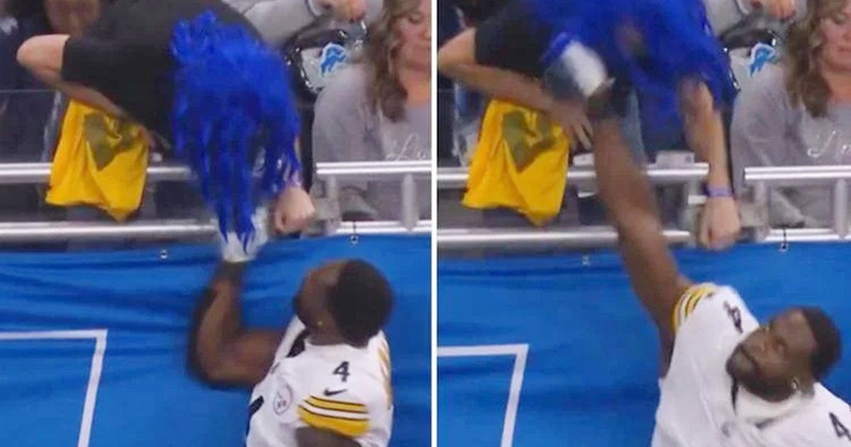 Çmenduri  Ylli i NFL së debaton me një tifoz dhe e godet me grusht   video 