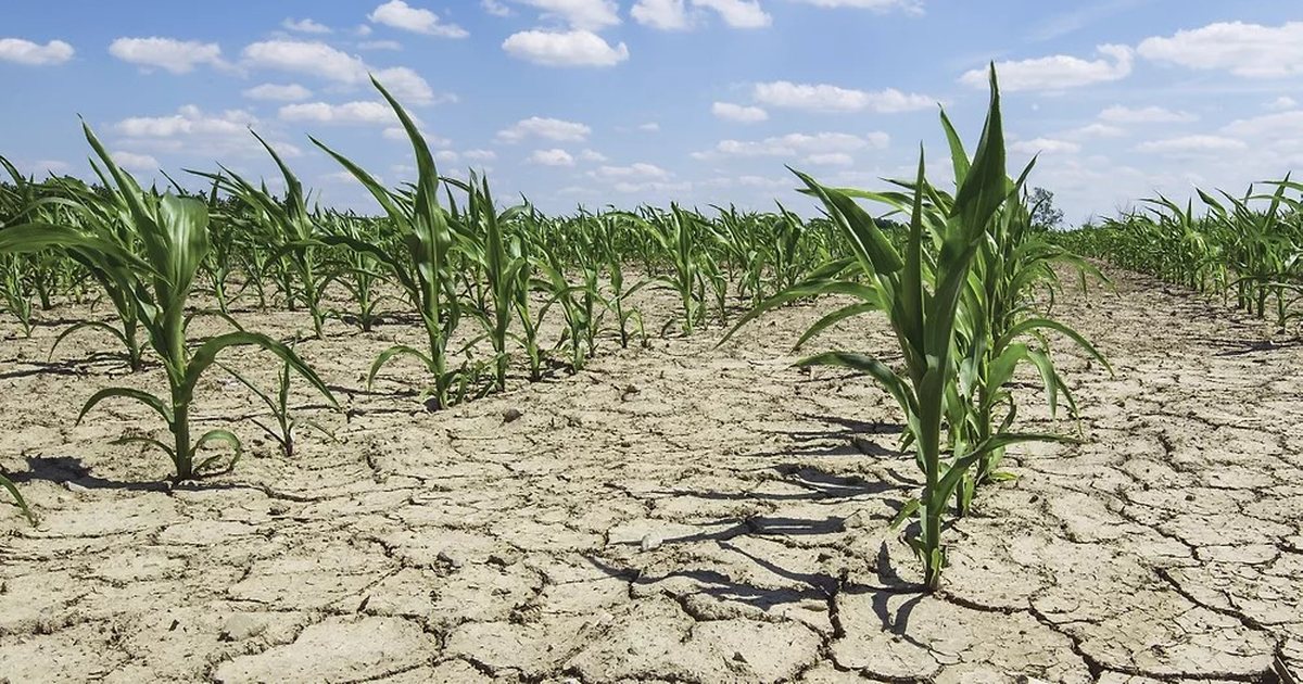 Asnjë masë ndaj ndryshimeve klimaterike  Sektori i bujqësisë do të përballet me një humbje prej 17 mld USD