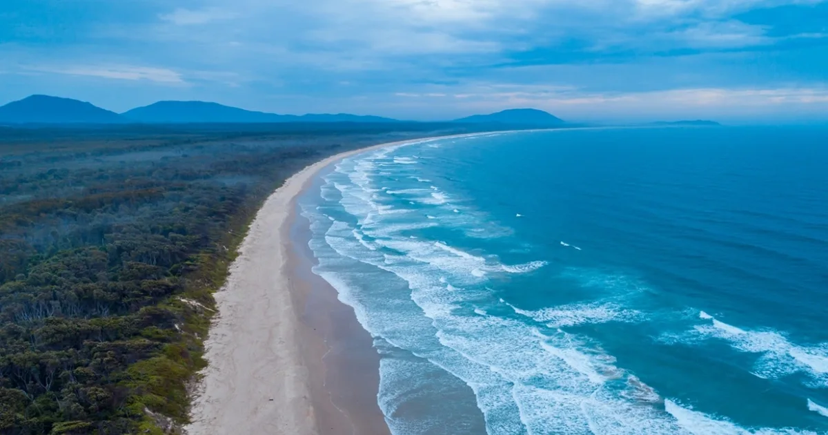 Sulmet nga peshkaqenët plagosin tre persona në plazhet e Sidnei  autoritetet urdhërojnë mbylljen e përkohshme të tyre