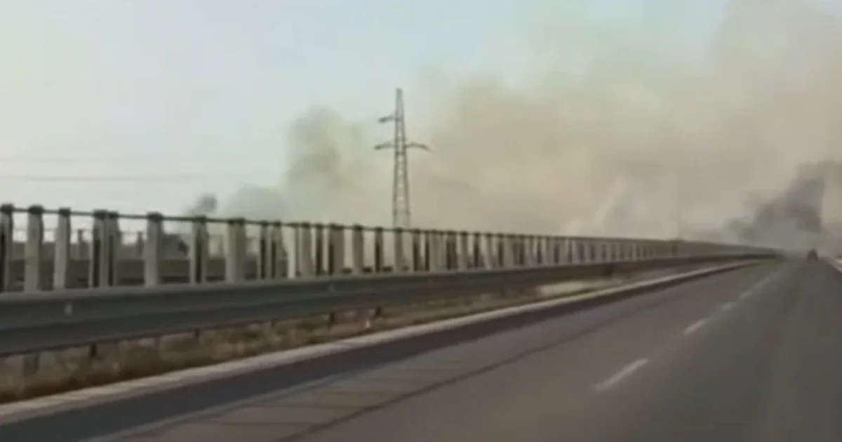 Zjarr përgjatë autostradës Fier Vlorë  vështirësohet qarkullimi i automjeteve