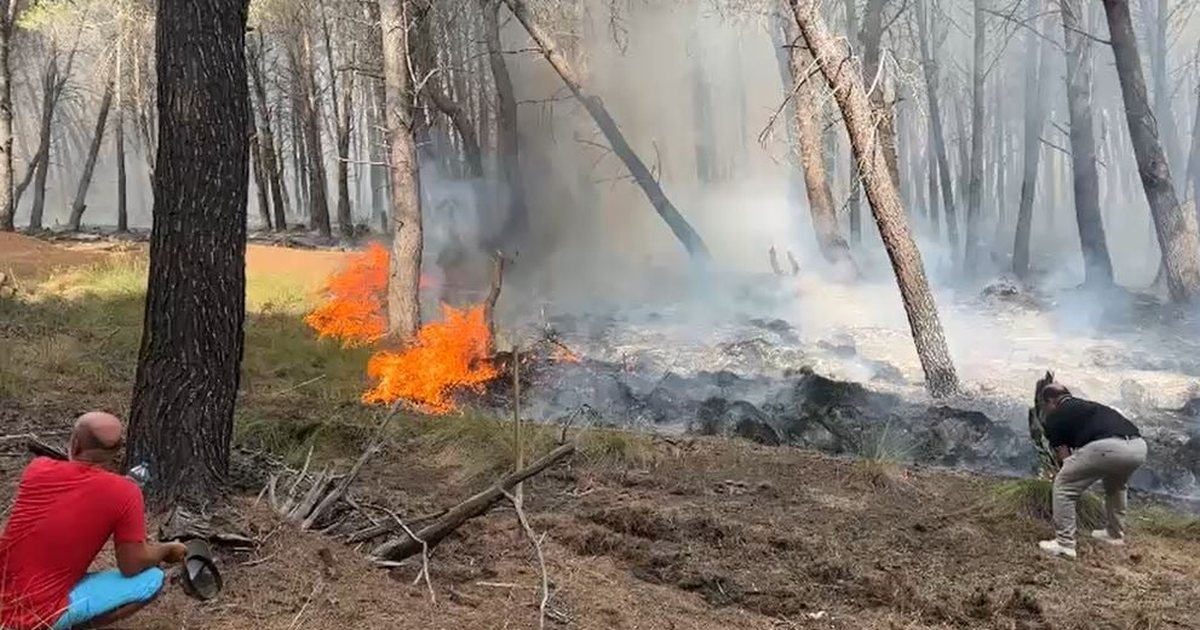 Izolohet vatra e zjarrit në pyllin e Sodës  zjarrfikësit vijojnë të qëndrojnë në terren