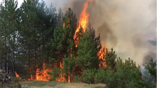 Zjarr masiv në fshatrat e Memaliajt, flakët rrezikojnë banesat!