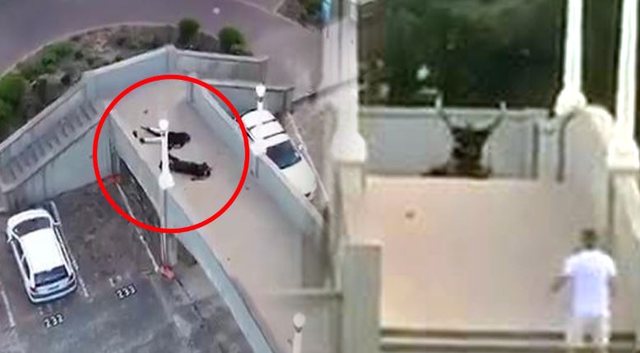 Sulmi terrorist në plazhin e Sidney! Babë dhe bir u trajnuan nga ISIS