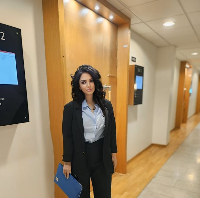 Sqarim p&euml;r Kryeministrin, q&euml; duket se nuk po kupton thelbin e