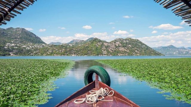UNESCO shpalli Liqenin e Shkodr&euml;s Rezerv&euml; t&euml; Re t&euml;
