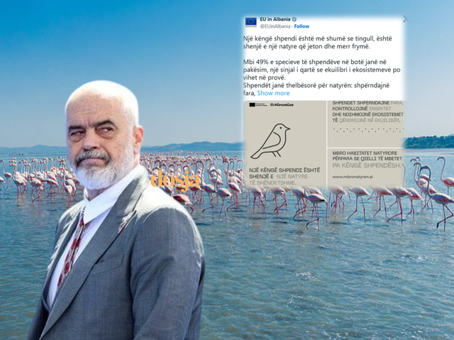 “Mbro natyrën, sa je në kohë"/ Delegacioni i BE