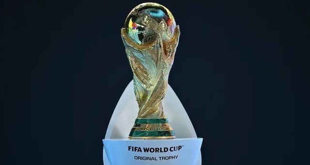 Frika e tribunave bosh, e detyron FIFA-n t&euml; rishes&euml; edhe 180.000