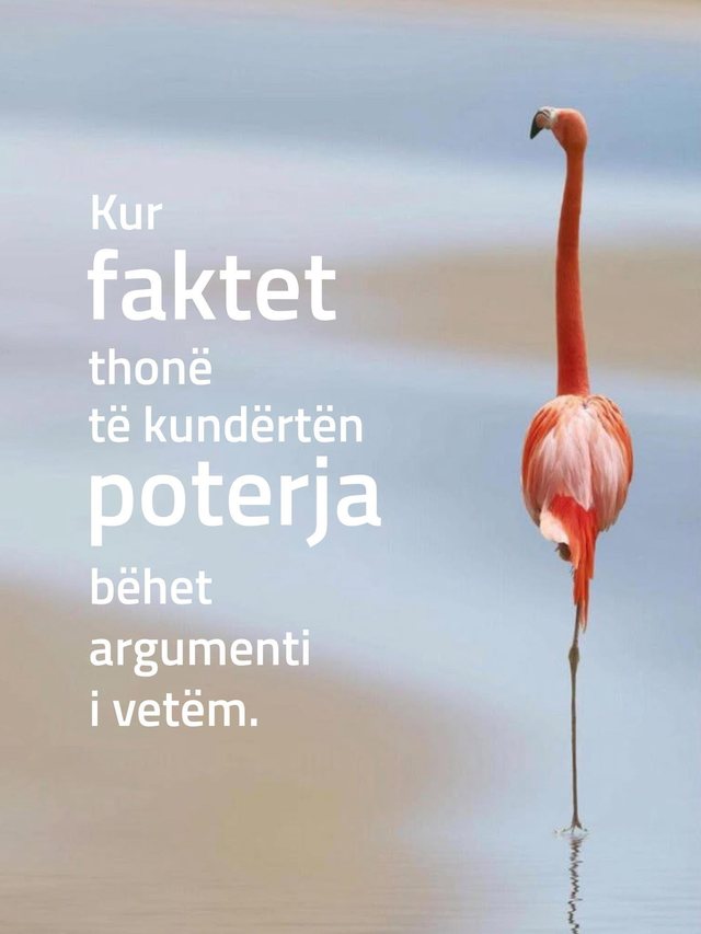 Rama publikon 'faktet' rreth projektit të Sazanit: Kur faktet