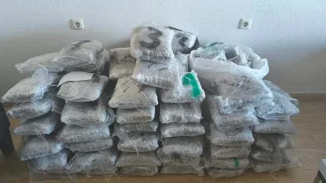 Sekuestrohen 96 kilogramë kanabis në kufirin greko-shqiptar,