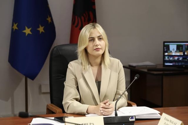 "Ligji 21/2024 hapi der&euml;n e betonit pa asnj&euml; kufizim"/ Ina