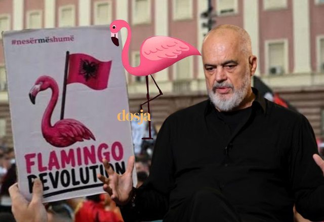 Rama sulmon protestuesit: Korbat e fshehura n&euml;n pupla flamingosh