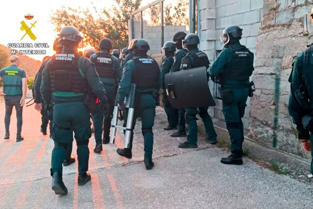 Trafik droge dhe falsifikim dokumentesh/ Shkat&euml;rrohet plantacioni gjigant i