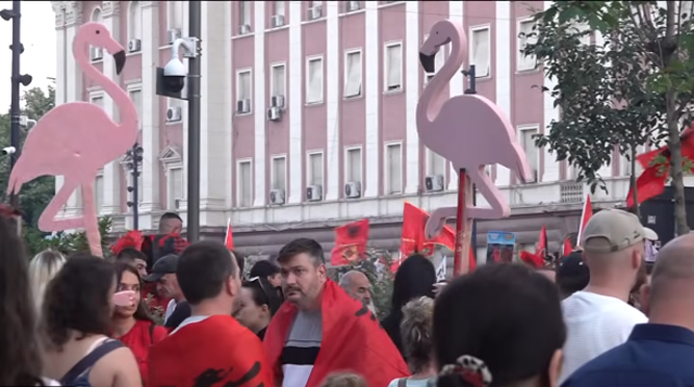 'Revolucioni i Flamingo-s'/ France 24: Shtohen protestat n&euml;