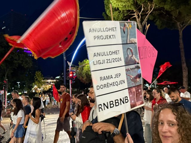 FOTOGALERIA/ Pankartat epike në protestë: Mjaft votuat të