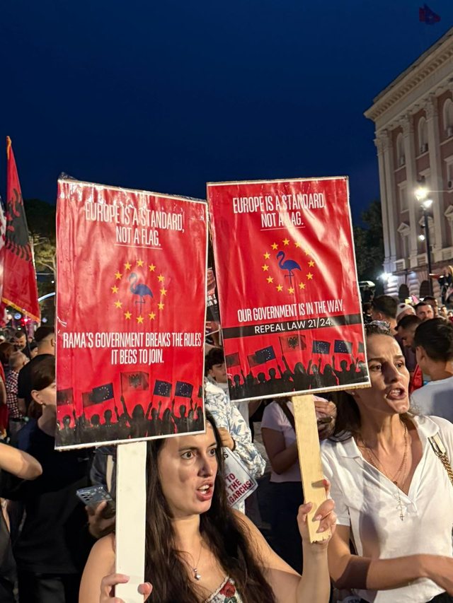 FOTOGALERIA/ Pankartat epike në protestë: Mjaft votuat të