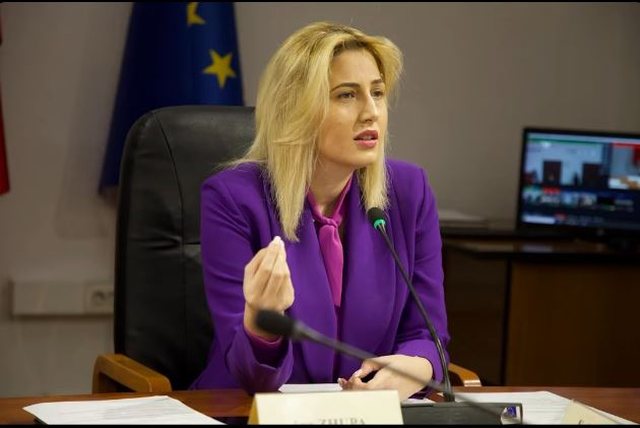 P&euml;rplasje n&euml; Konferenc&euml;n e Kryetar&euml;ve, Bardhi: Sulmet ndaj