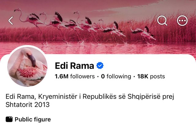Revolucioni i Flamingove/ Rama p&euml;rdit&euml;son imazhin n&euml; Facebook,