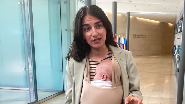 VIDEO/ Ministrja suedeze e Mjedisit shkon n&euml; takimin e BE-s&euml; me