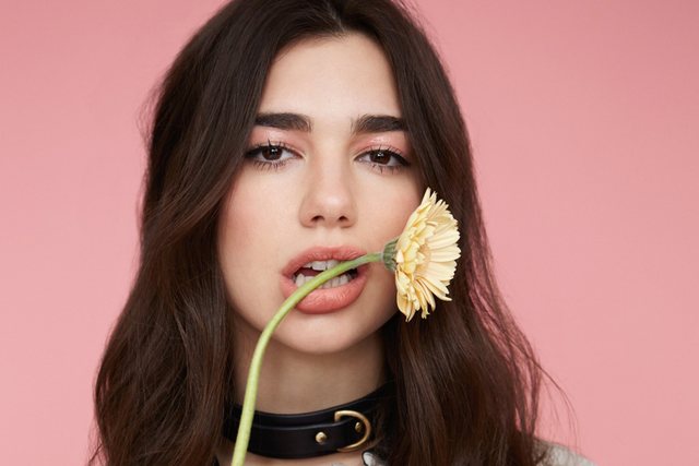&ldquo;Libri &euml;sht&euml; liri&rdquo;!  Ylli i Popit, Dua Lipa hap