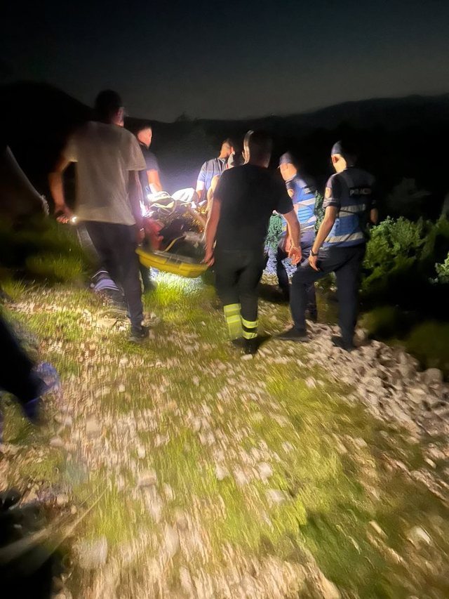Ra nga shk&euml;mbi teksa mblidhte bim&euml; medicinale/ Gjendet pas mesnate