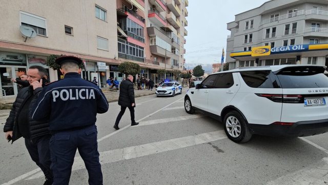 K&euml;rcet arma n&euml; Pogradec/ Plagoset Brian Syzo, n&euml; pranga autori i