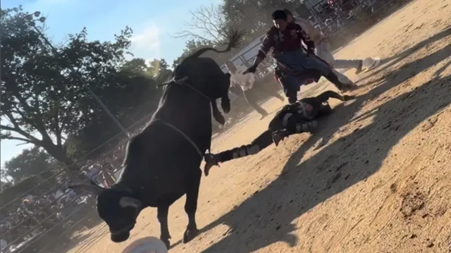 VIDEO/ Tmerr n&euml; rodeo n&euml; New York, demi i t&euml;rbuar shkel
