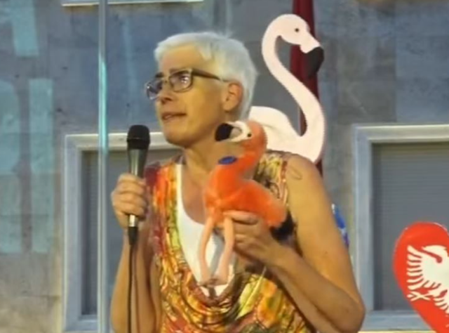 &ldquo;Po luftoni p&euml;r vendin tuaj&rdquo;/&nbsp;Eurodeputetja gjermane Jutta