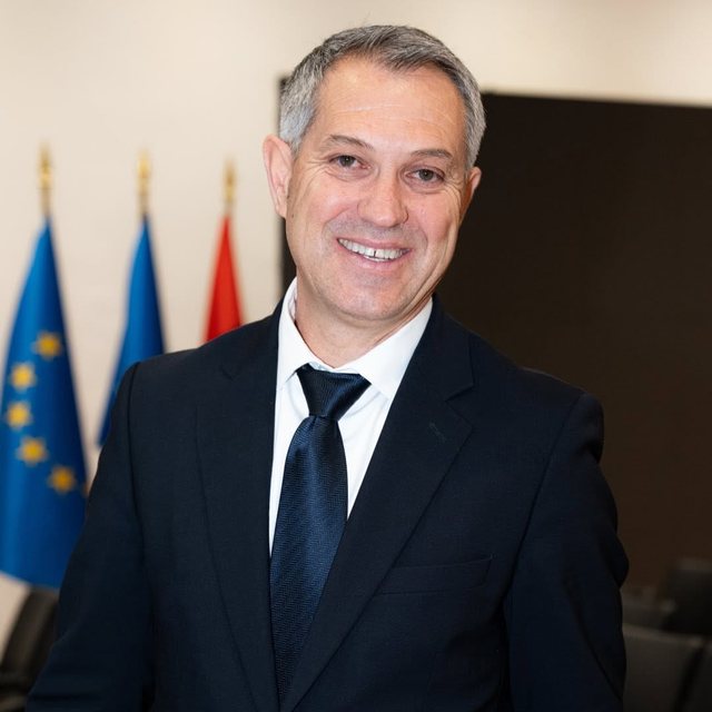 P&euml;rfaq&euml;simi i Diaspor&euml;s n&euml; Parlamentin e