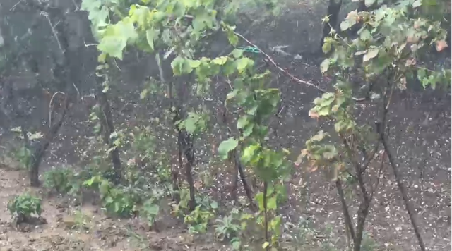 PAMJET/ Stuhi shiu e bresh&euml;ri n&euml; Elbasan, d&euml;me n&euml;