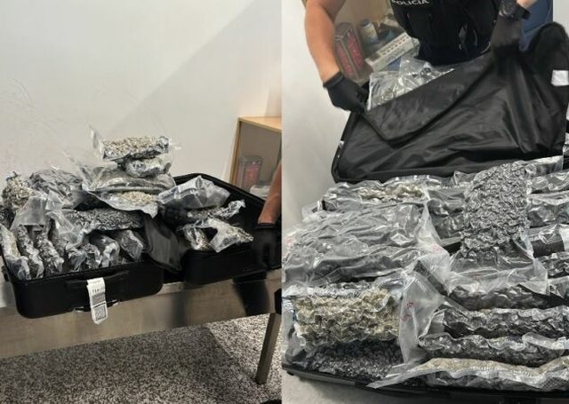 Tentuan t&euml; kalonin rreth 50 kilogram drog&euml; nga Rinasi, vihen n&euml;