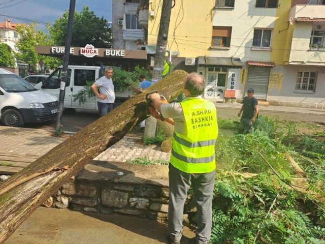 Stuhia e fort&euml; godet Elbasanin, rr&euml;zohen pem&euml; dhe d&euml;mtohet