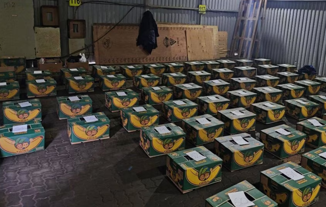 Autoritetet ruse sekuestruan 1.5 ton kokain&euml;/ Analiza: Kush po transporton