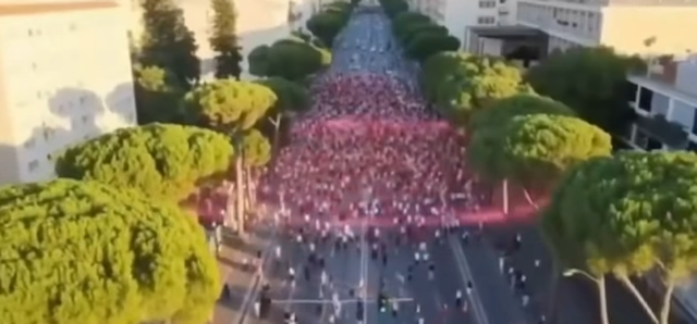 "Kjo tanim&euml; &euml;sht&euml; protesta e Saliut"/ Ironia e