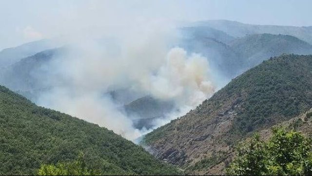 Dyshohet p&euml;r zjarrv&euml;nie t&euml; q&euml;llimshme/&nbsp;P&euml;rfshihet